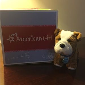 American Girl - Meatloaf the dog